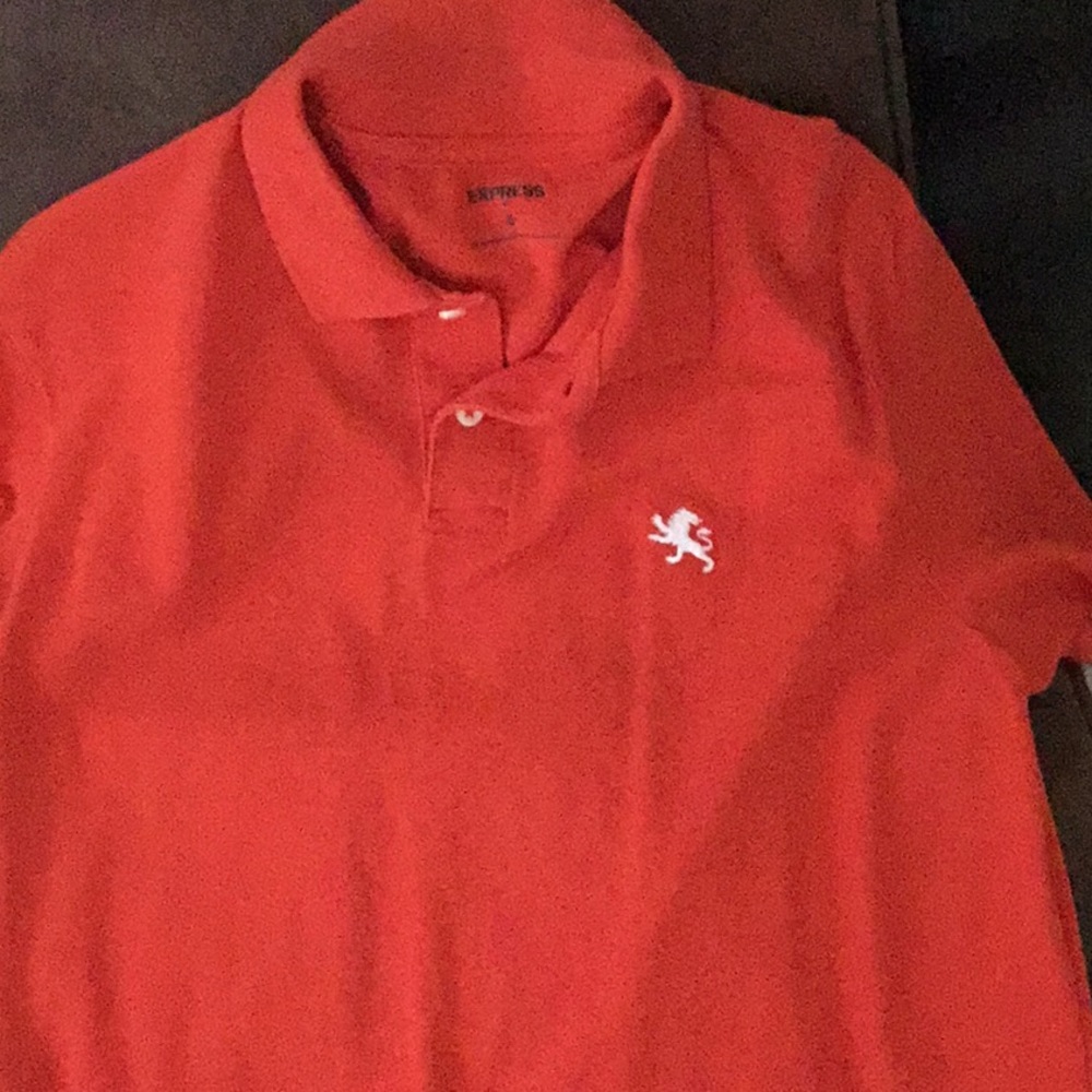 Express Polo - Picture 3 of 6